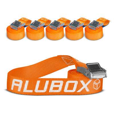 ALUBOX Spanngurt mit Klemmschloss 6 Stück Größenwahl 2,5m 1 Set